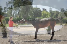 ref. photo 3201253