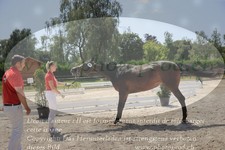 ref. photo 3201254