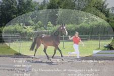 ref. photo 3201257