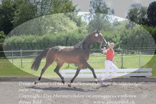 ref. photo 3201258