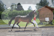 ref. photo 3201259