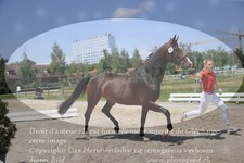 ref. photo 3201261