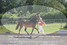 ref. photo 3201262