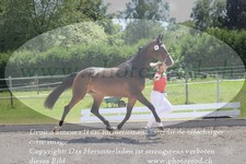 ref. photo 3201263