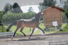ref. photo 3201264