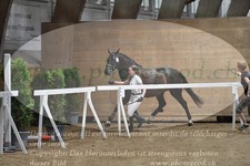 ref. photo 3201271