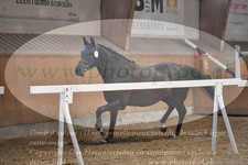 ref. photo 3201273