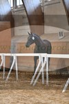 ref. photo 3201276