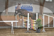 ref. photo 3201281