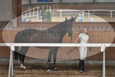 ref. photo 3201289