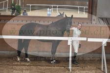 ref. photo 3201291