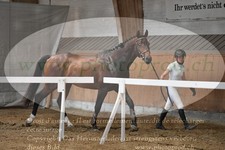 ref. photo 3201292