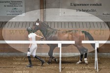 ref. photo 3201293