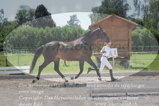 ref. photo 3201318