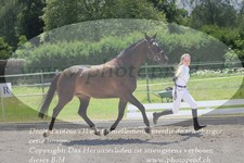 ref. photo 3201324