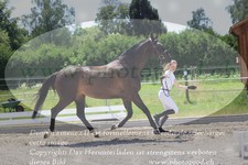 ref. photo 3201325