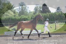ref. photo 3201349