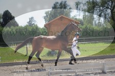 ref. photo 3201350
