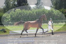 ref. photo 3201352