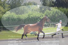 ref. photo 3201358
