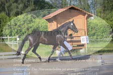 ref. photo 3201380