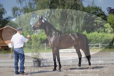 ref. photo 3201480
