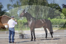 ref. photo 3201482