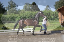 ref. photo 3201493