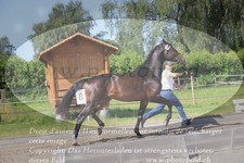 ref. photo 3201494