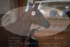 ref. photo 3201562