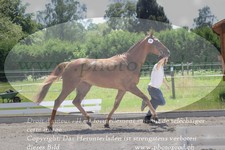 ref. photo 3201570