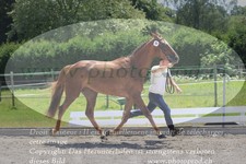 ref. photo 3201574