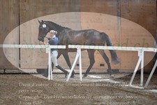 ref. photo 3201600