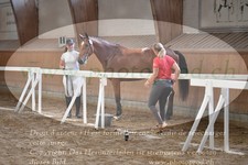 ref. photo 3201612