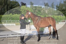 ref. photo 3201634