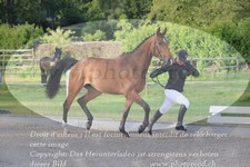 ref. photo 3201638