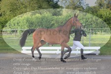 ref. photo 3201639