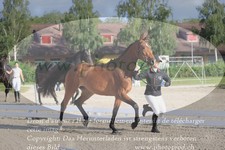 ref. photo 3201641
