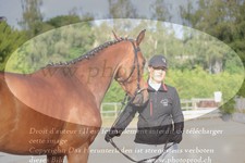 ref. photo 3201643