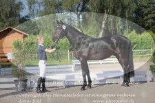 ref. photo 3201646