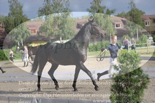 ref. photo 3201653