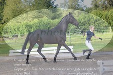 ref. photo 3201654