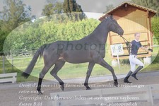 ref. photo 3201655