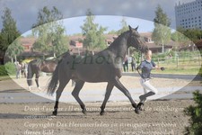 ref. photo 3201658
