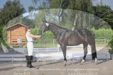 ref. photo 3201662