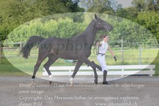 ref. photo 3201664