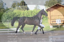 ref. photo 3201665
