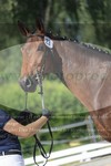 ref. photo 3201672