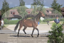 ref. photo 3201675