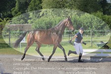 ref. photo 3201676